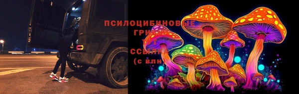 соль ск Алзамай