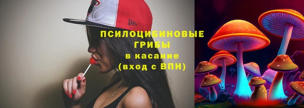 соль ск Алзамай