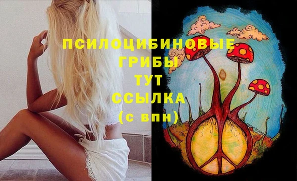 соль ск Алзамай