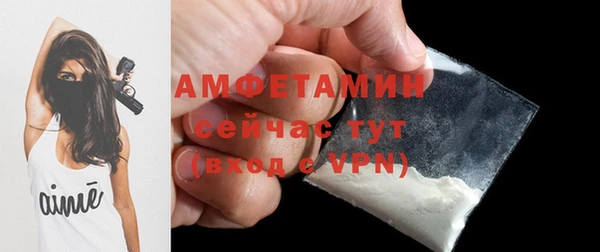молекула духа Алексеевка