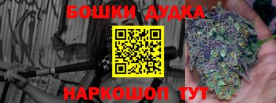 индика Будённовск