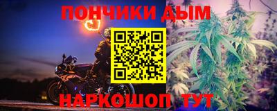 индика Будённовск