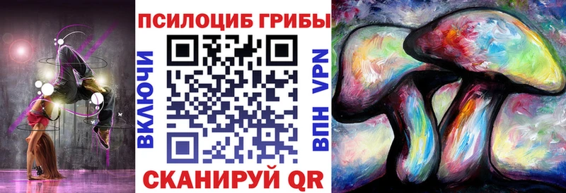 закладки Краснознаменск Галлюциногенные грибы Psilocybe