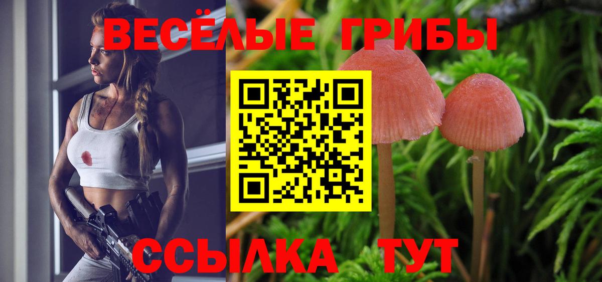 Галлюциногенные грибы Cubensis  Вход с VPN  Краснознаменск 